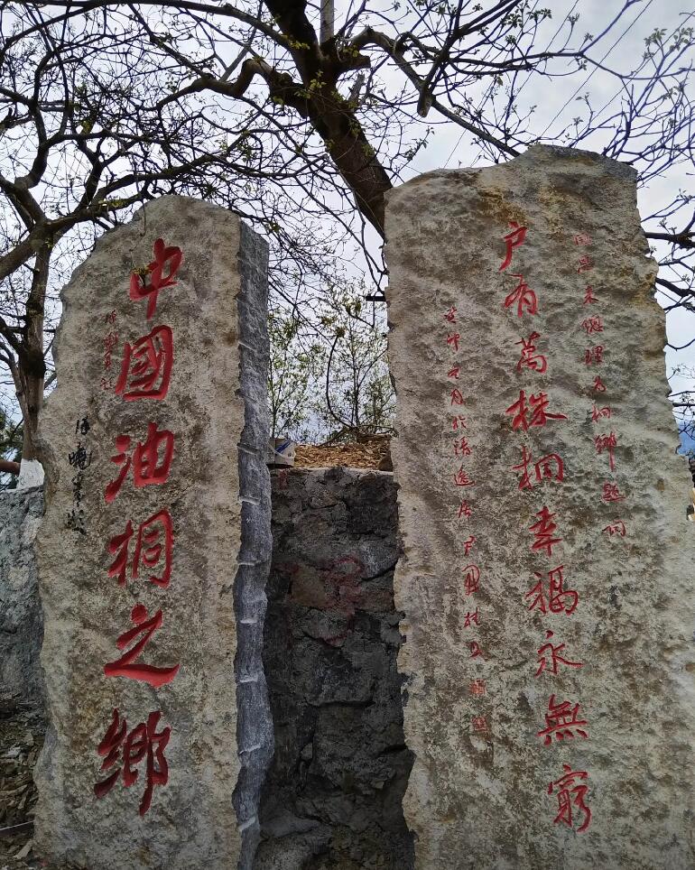 缩略图