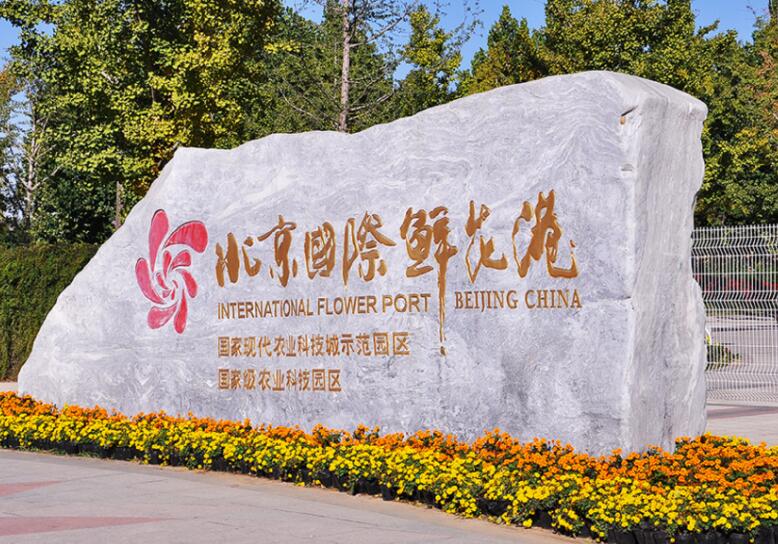 杨镇北京国际鲜花港