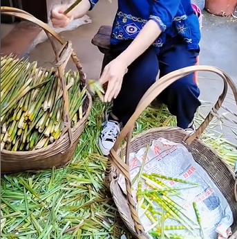 西江镇水竹