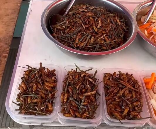 勐龙镇桑蛹