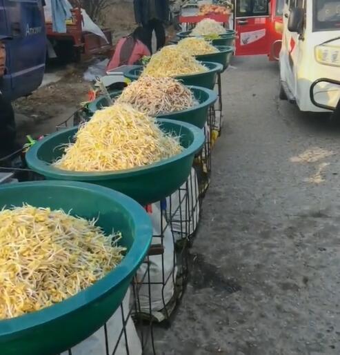 庙山镇豆芽