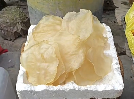 黄土矿镇鱼胶