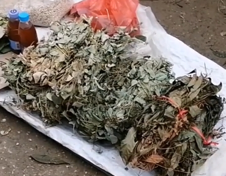 中东镇中草药