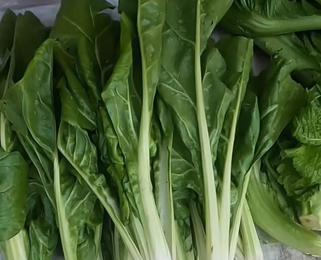 太和镇飘儿菜