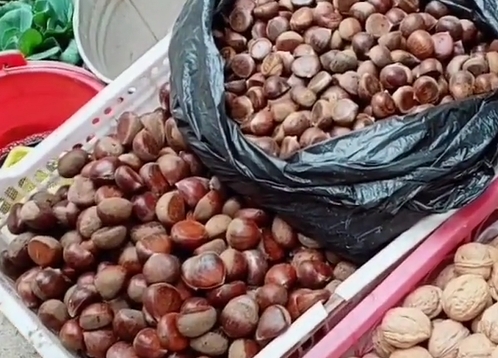 独峒镇新鲜板栗