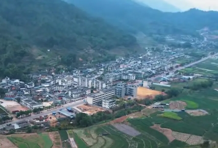梅子镇