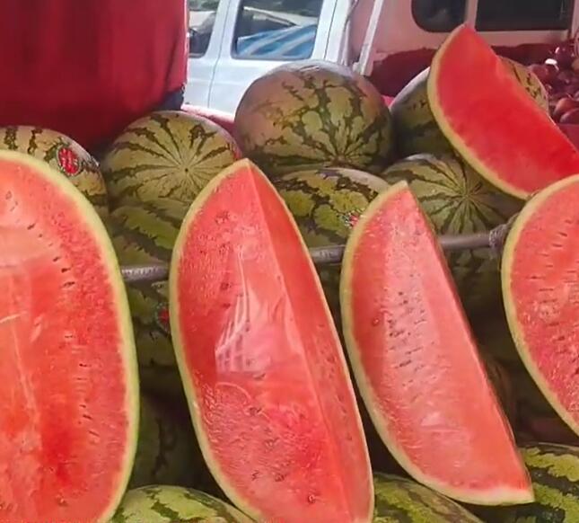 东瓜镇西瓜