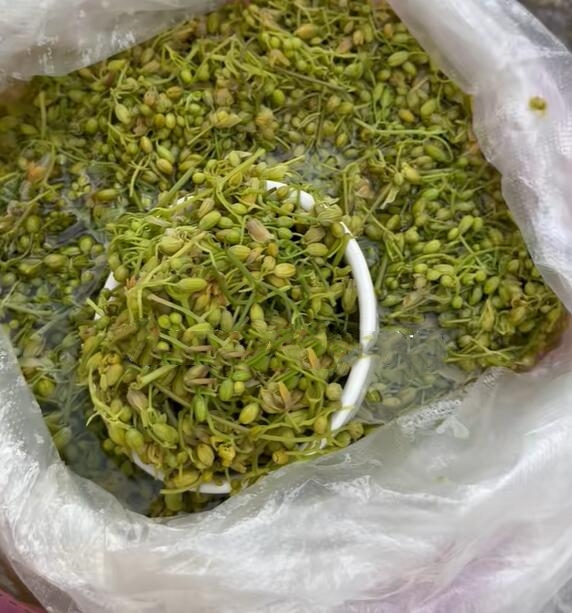新安所镇可以生吃的野生藤子花