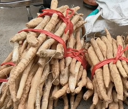 四塘镇牛大力