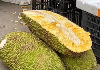 沙塘镇波罗蜜