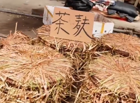 洛满镇油饼