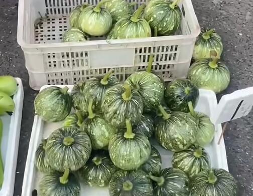 大冶市小南瓜