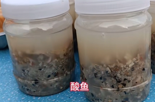 孟定镇酸鱼