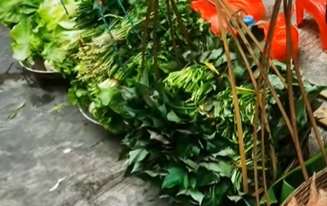新地镇农家菜