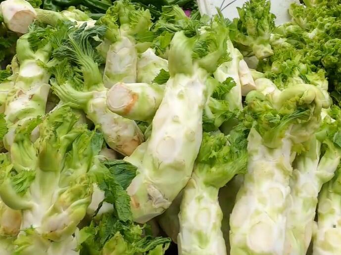 金泉街道儿菜