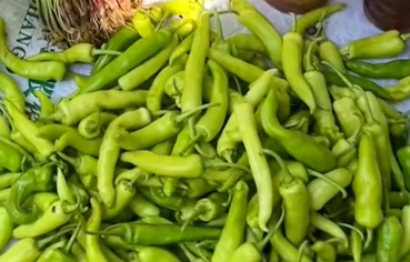 成团镇青椒
