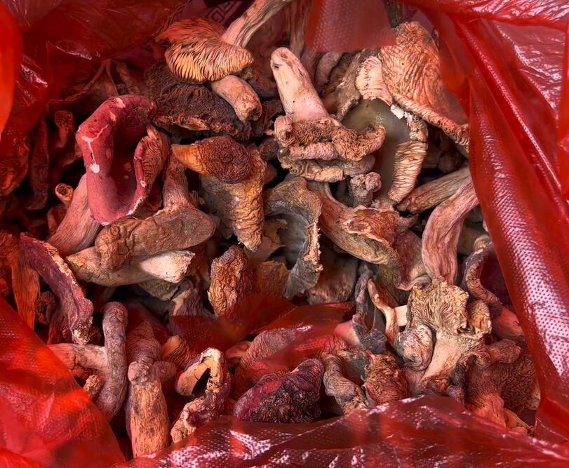 邓元泰镇晒干的菌子
