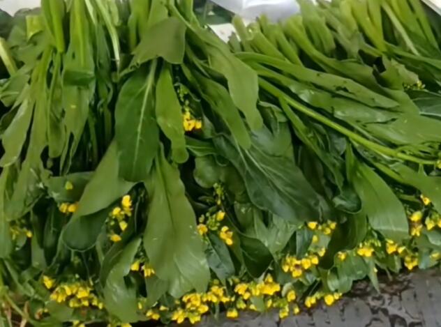 驿马街道菜心