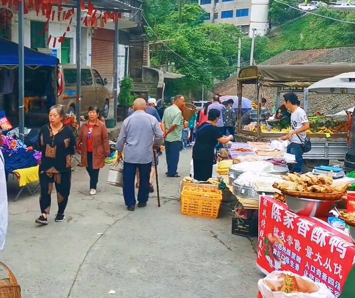 大树村集市