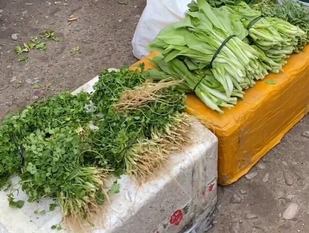 茅岩河镇香菜和小白菜
