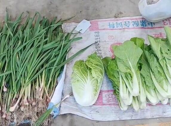 三水镇蒜苗和小白菜