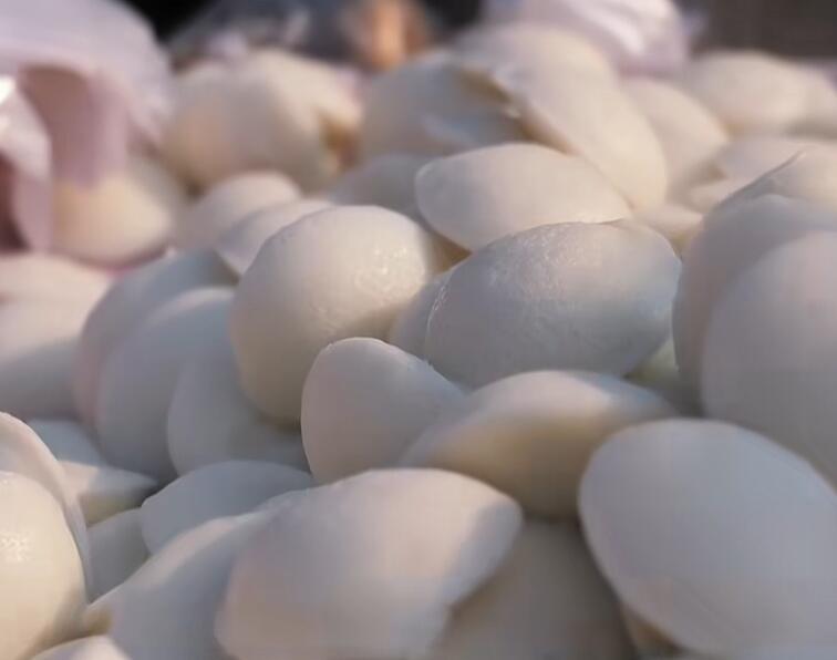 杉木桥镇泡粑