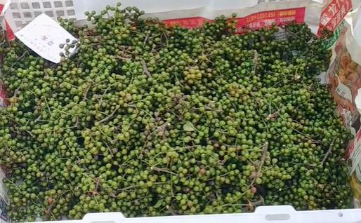 新妙镇青花椒