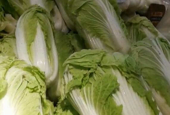 天星桥街道白菜