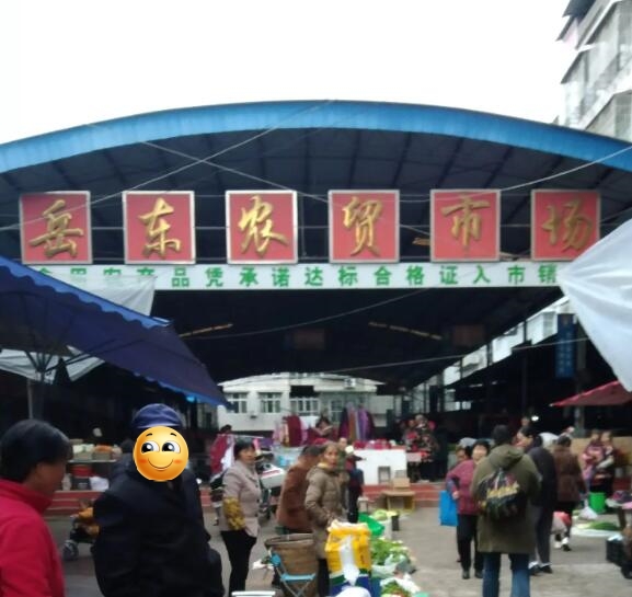 岳东镇
