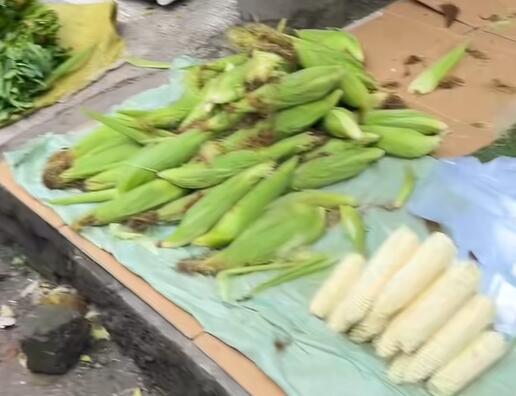 南岳镇玉米