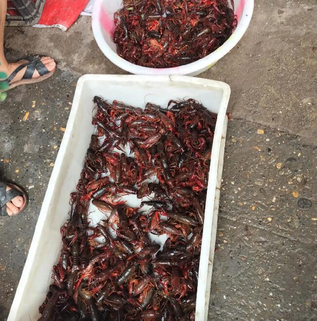 太乙镇集市上的小龙虾