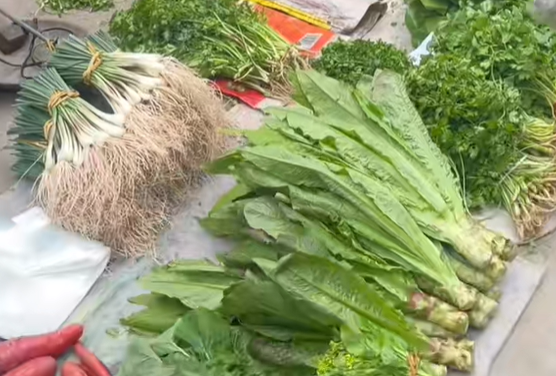 来苏镇农家蔬菜