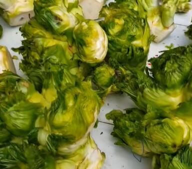 黎香湖镇儿菜