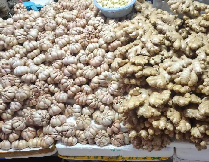 新开铺街道大蒜和生姜