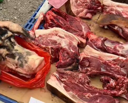杨柳街道野生猪肉