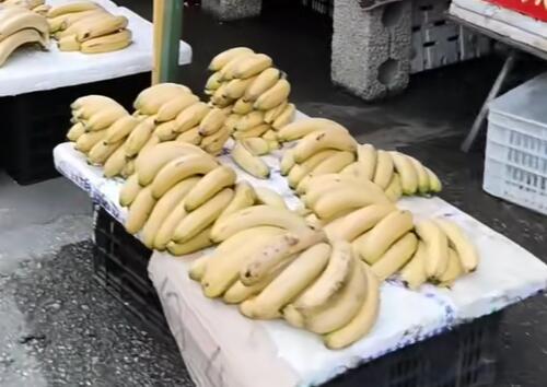 东龙镇香蕉