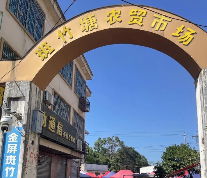 跳马镇