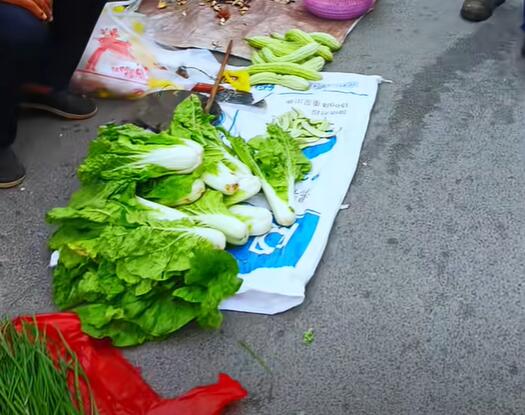 靖港镇白菜和苦瓜