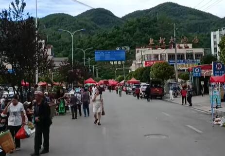 鸡场坪镇