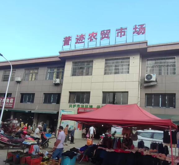 普迹镇
