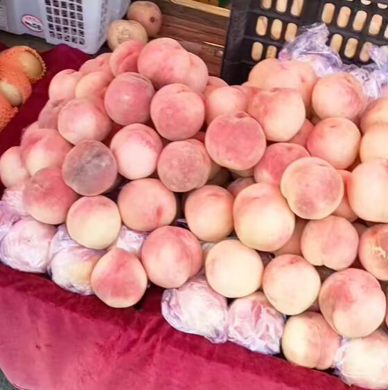 普迹镇桃子